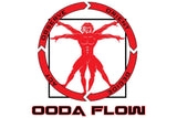 OODA FLOW WEAPONIZE YOUR GROUND TRANSITIONS